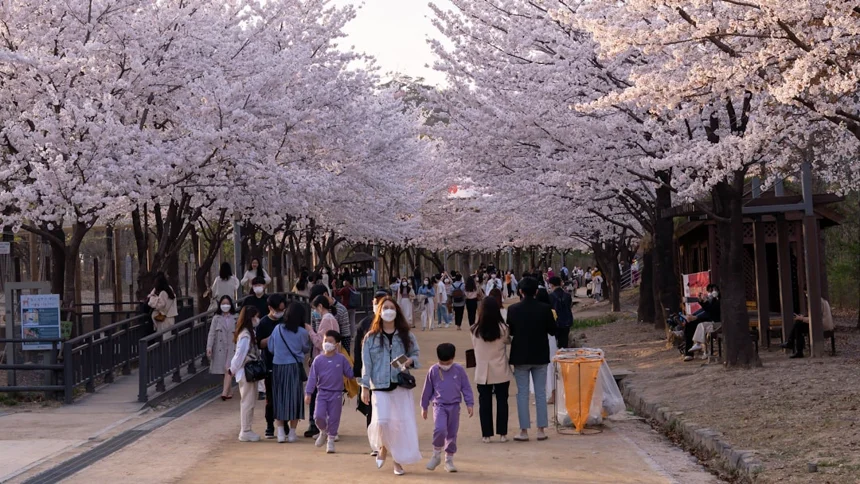 Seoul Plaza