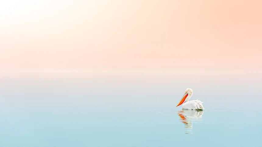 Serenity