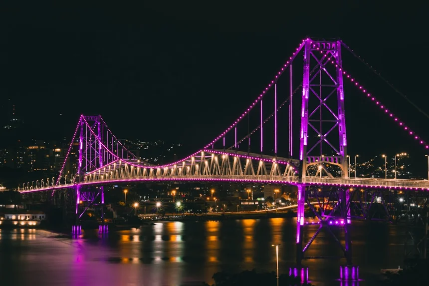 Shinan Purple Bridge