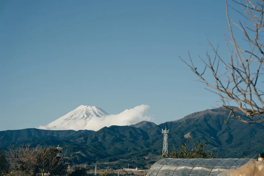 Shizuoka