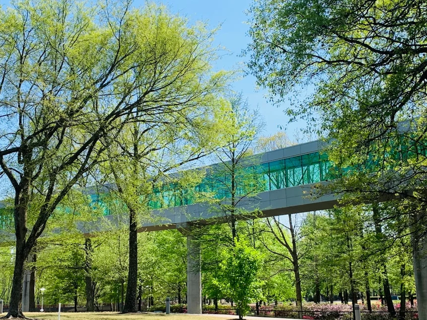 Skywalk