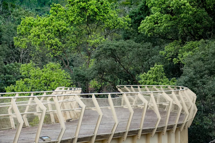 Skywalk