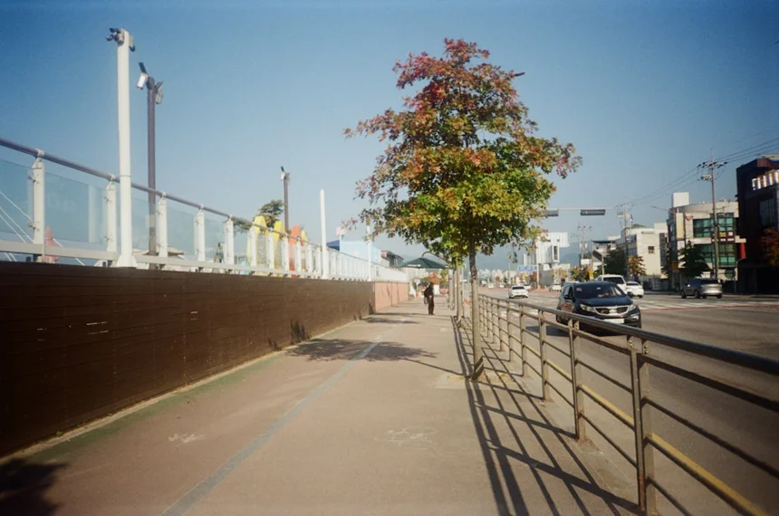 Skyway