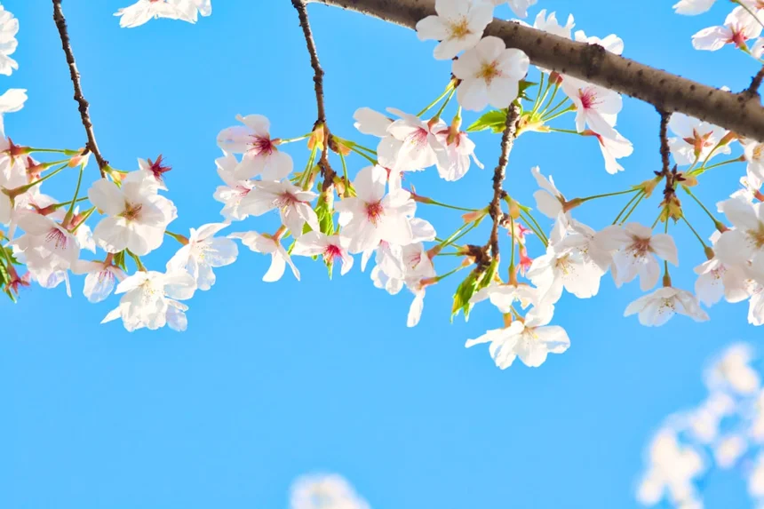 Spring.