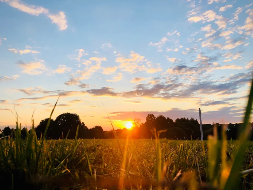 Sunrise