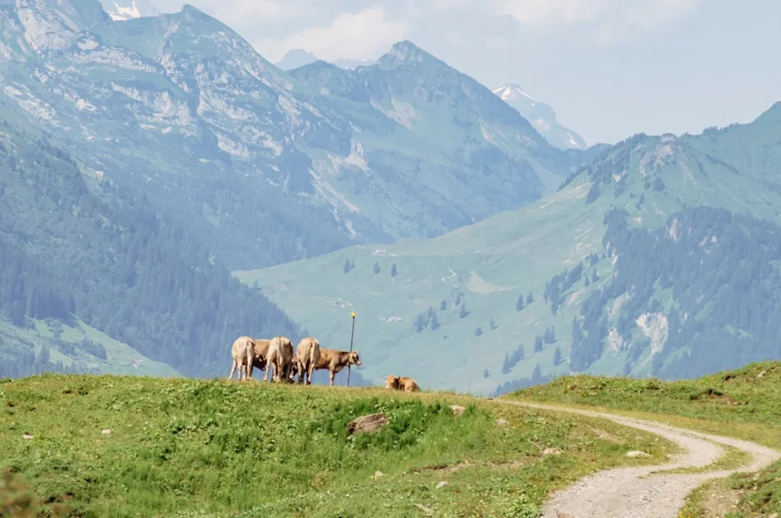 Swiss Pass