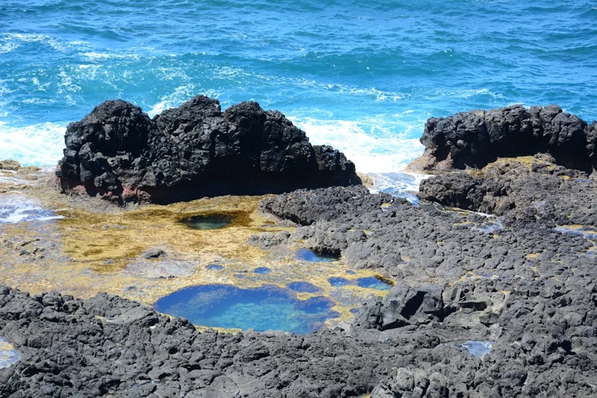 Tidepool