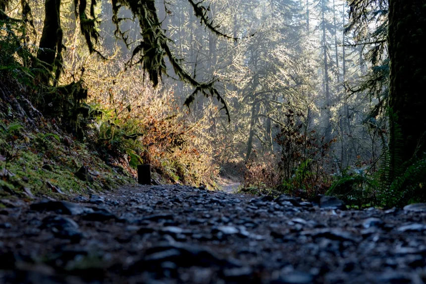 Trail