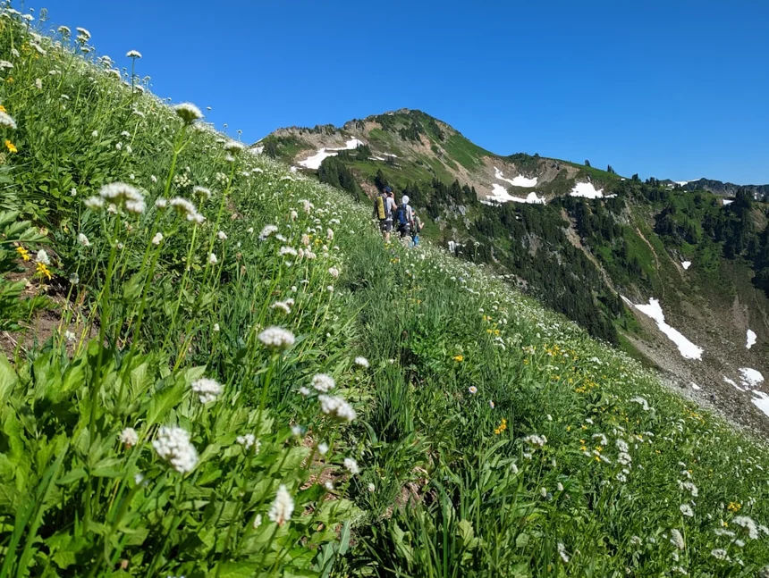 Trekking.