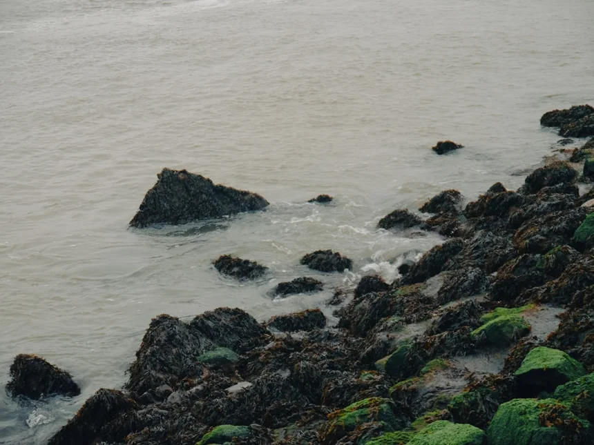 Ulleungdo