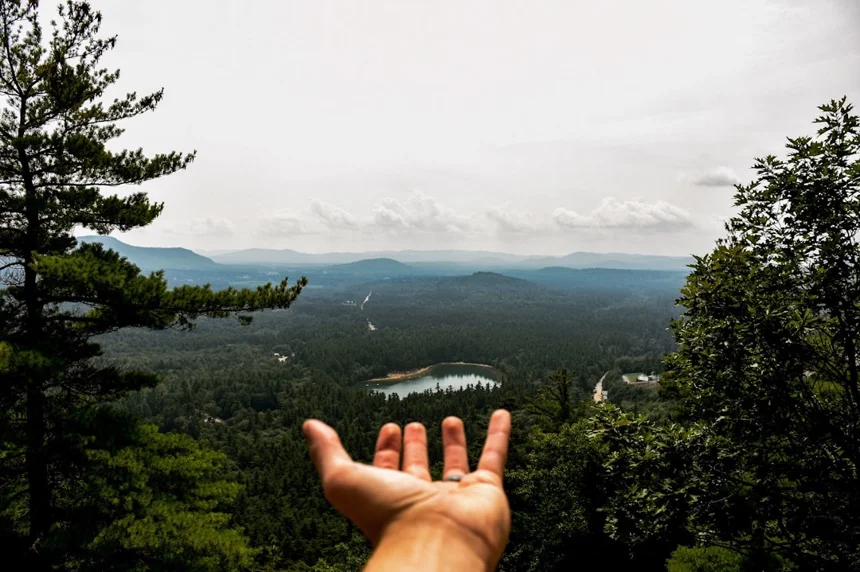View