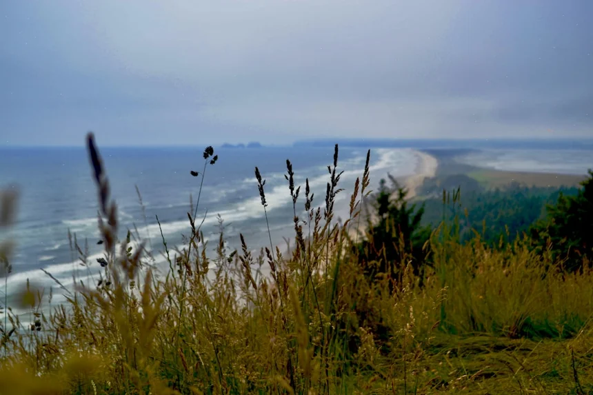 Viewpoint.