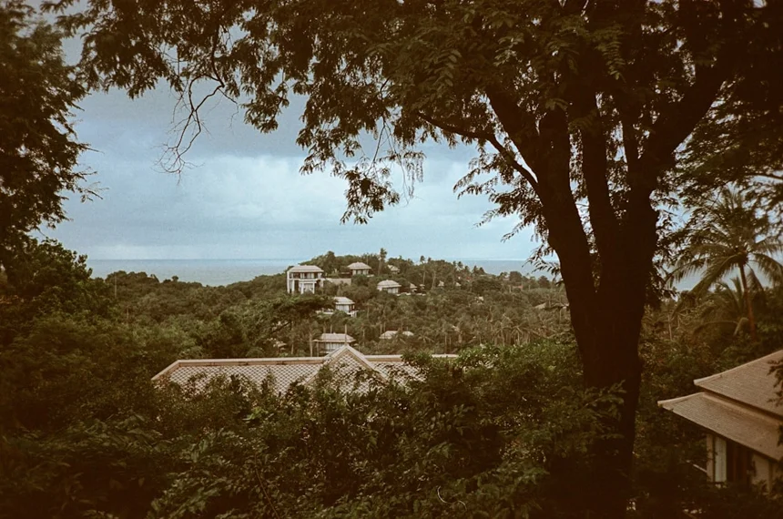Viewpoint