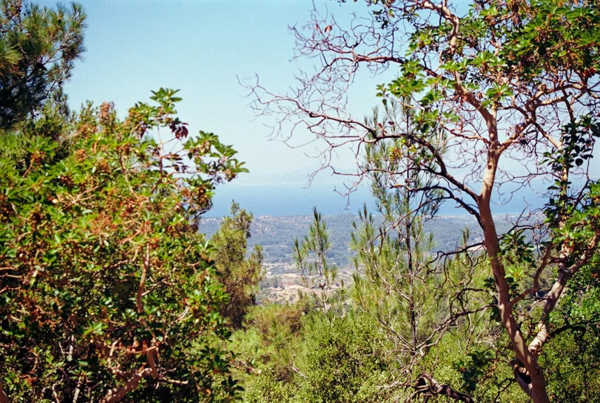 Viewpoint