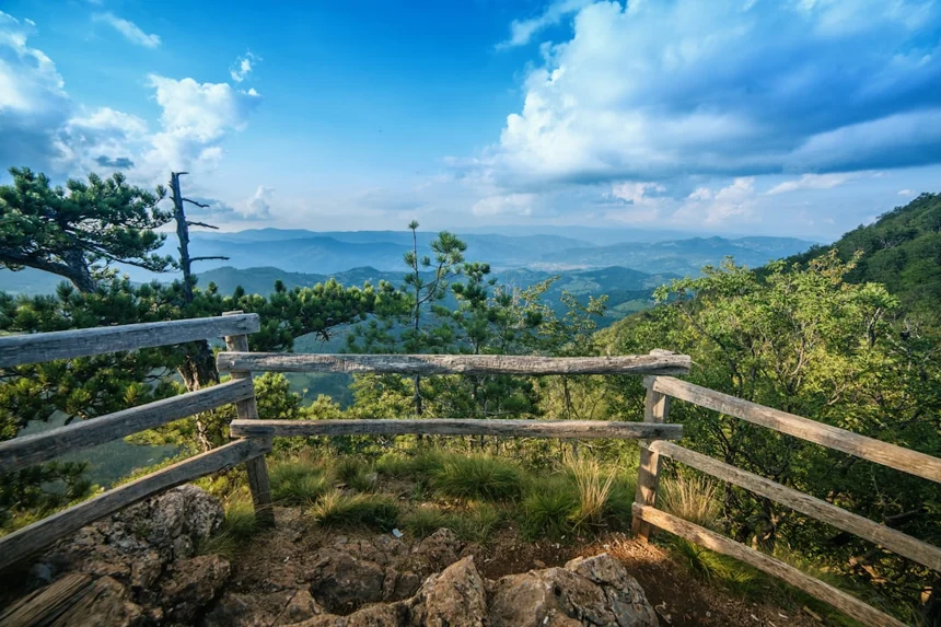 Viewpoint