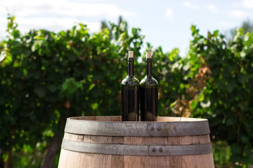 Wine