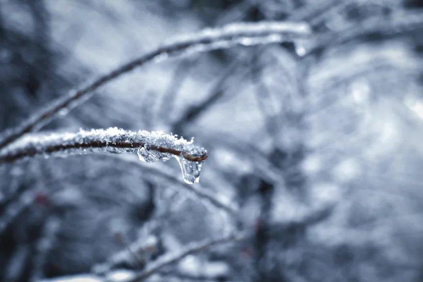 Winter.