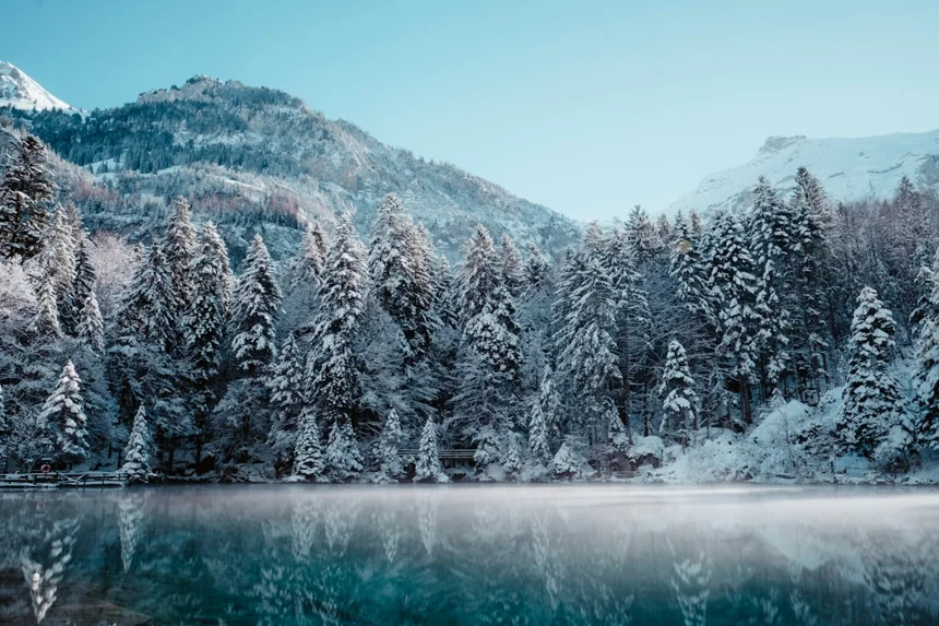 Winter