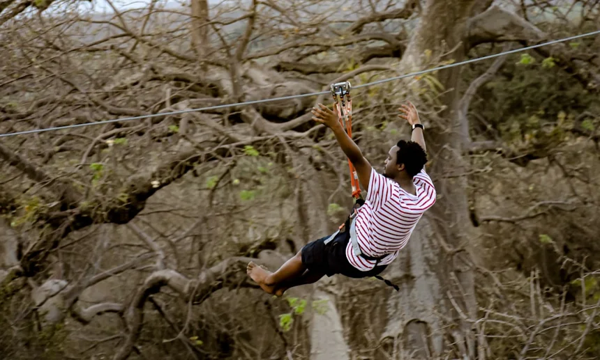Zipline
