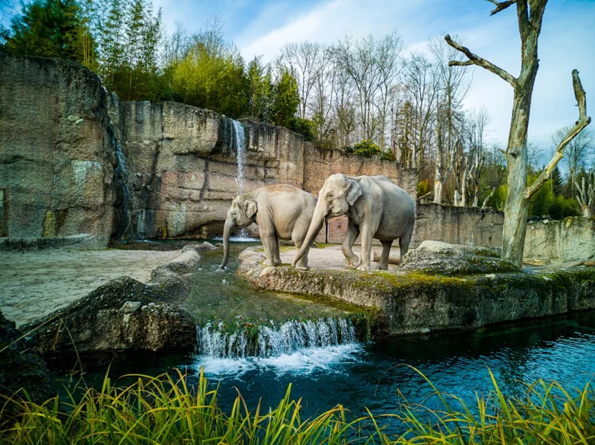 Zoo