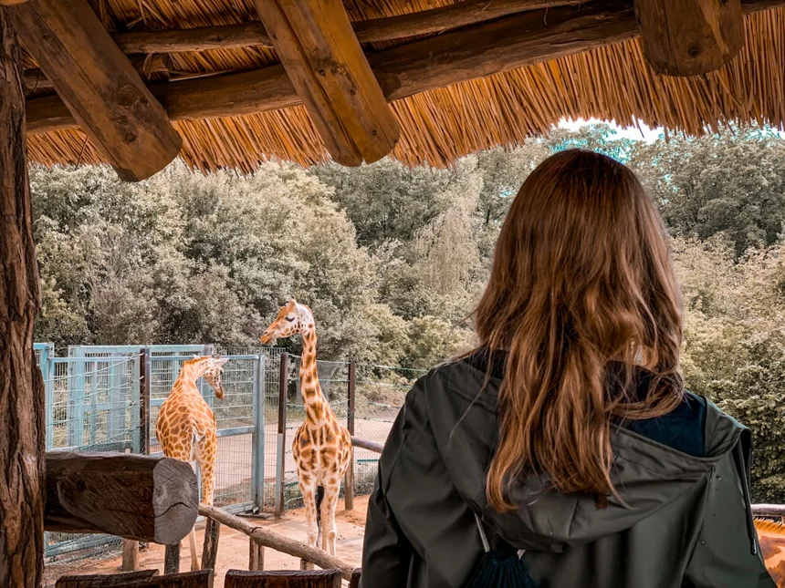 Zoo