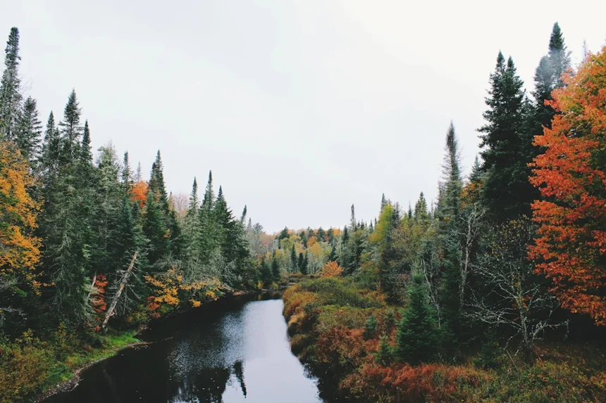 autumn