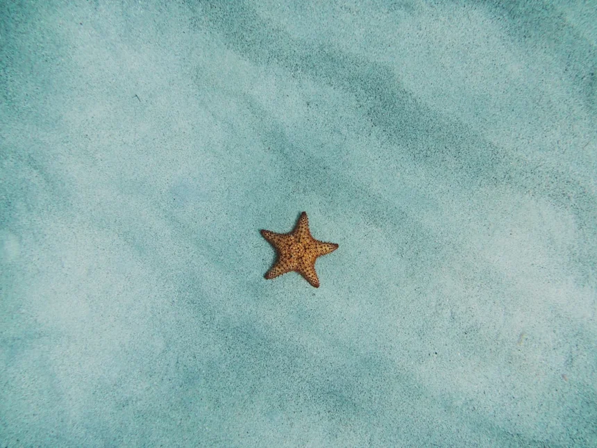 beach