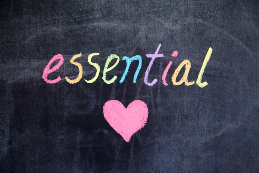 必需品 (Essentials)