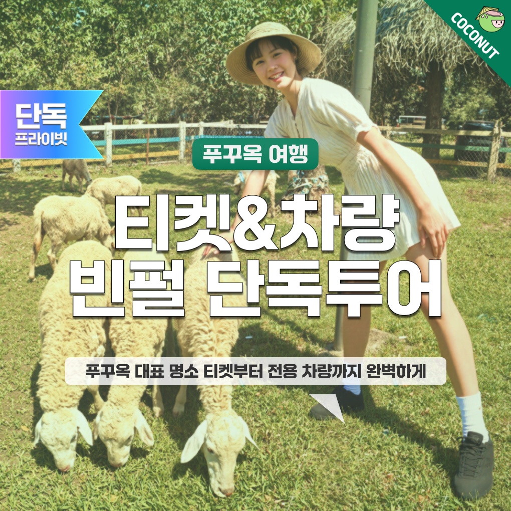 [QR+차량]푸꾸옥 북부 빈펄 올인원 렌트카 투어 사파리 빈원더스 그랜드월드 단독투어 장단점 총정리