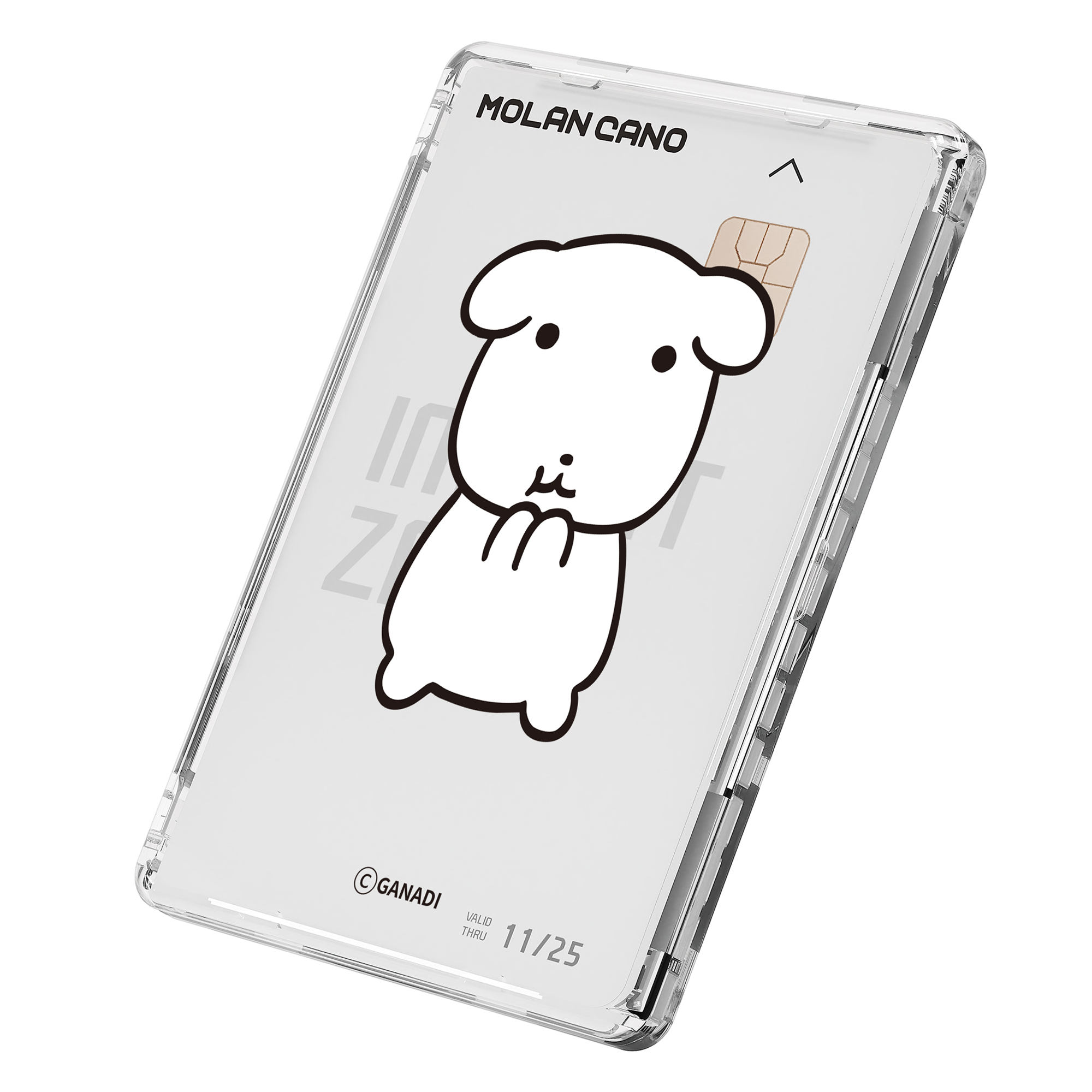 내셔널지오그래픽 카드지갑 추천 10개 인기 필수 아이템!