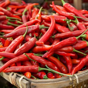 “국내산 베트남고추 태국고추 100g 쥐똥고추 프릭키누” 추천템, 할인까지