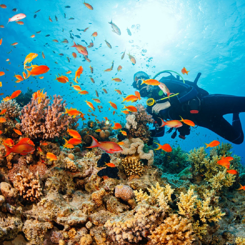 나트랑 호핑투어 미니비치 산티아고 스피드보트 한국인 액티비티 스노쿨링 체크아웃 일일투어 후기