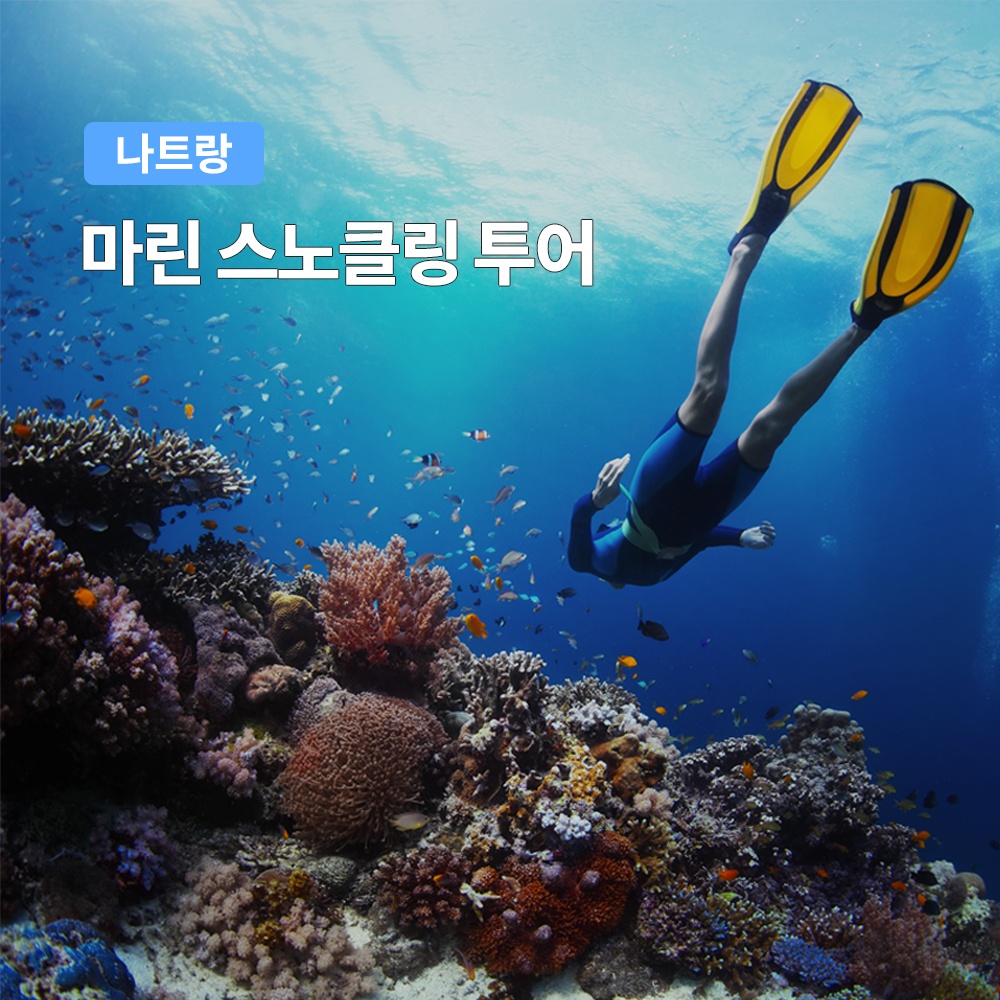 나트랑 마린 스노쿨링 호핑투어, 가성비 좋은 선택