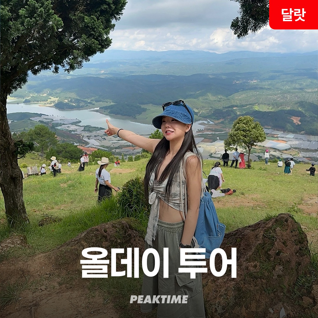 나트랑 달랏 투어 렌트카 관광지 올데이 투어, 정말 필요한 이유