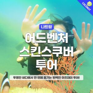 “나트랑 어드벤처 스킨스쿠버 호핑투어 액티비티”의 모든 것 실제 후기 공개