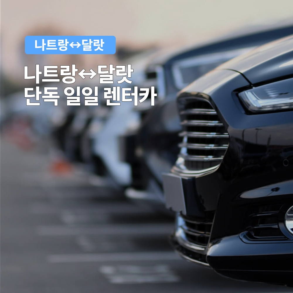 달랏 나트랑 출발 달랏 렌트카 프라이빗 차량 택시투어 후기, 진정한 휴식을 위해