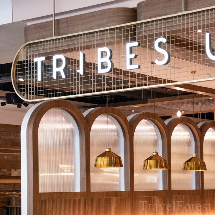 두바이 분수쇼 야경 맛집 트라이브스 레스토랑 예약, 왜 꼭 가봐야 할까요?