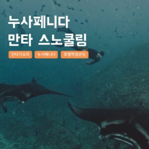 [발리] 누사페니다 만타 스노쿨링 투어 해양 액티비티 액션캠촬영 스쿠버 다이빙 만타포인트 후기 및 추천