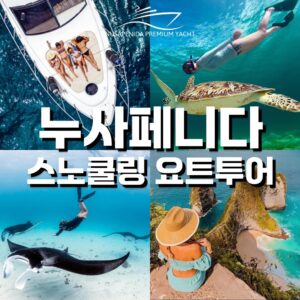 발리 누사페니다 투어 프리미엄 요트 스노쿨링 일일 데이 투어 후기
