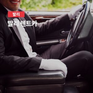 발리 렌트카 자유일정 택시투어 프라이빗 차량, 여행의 필수템