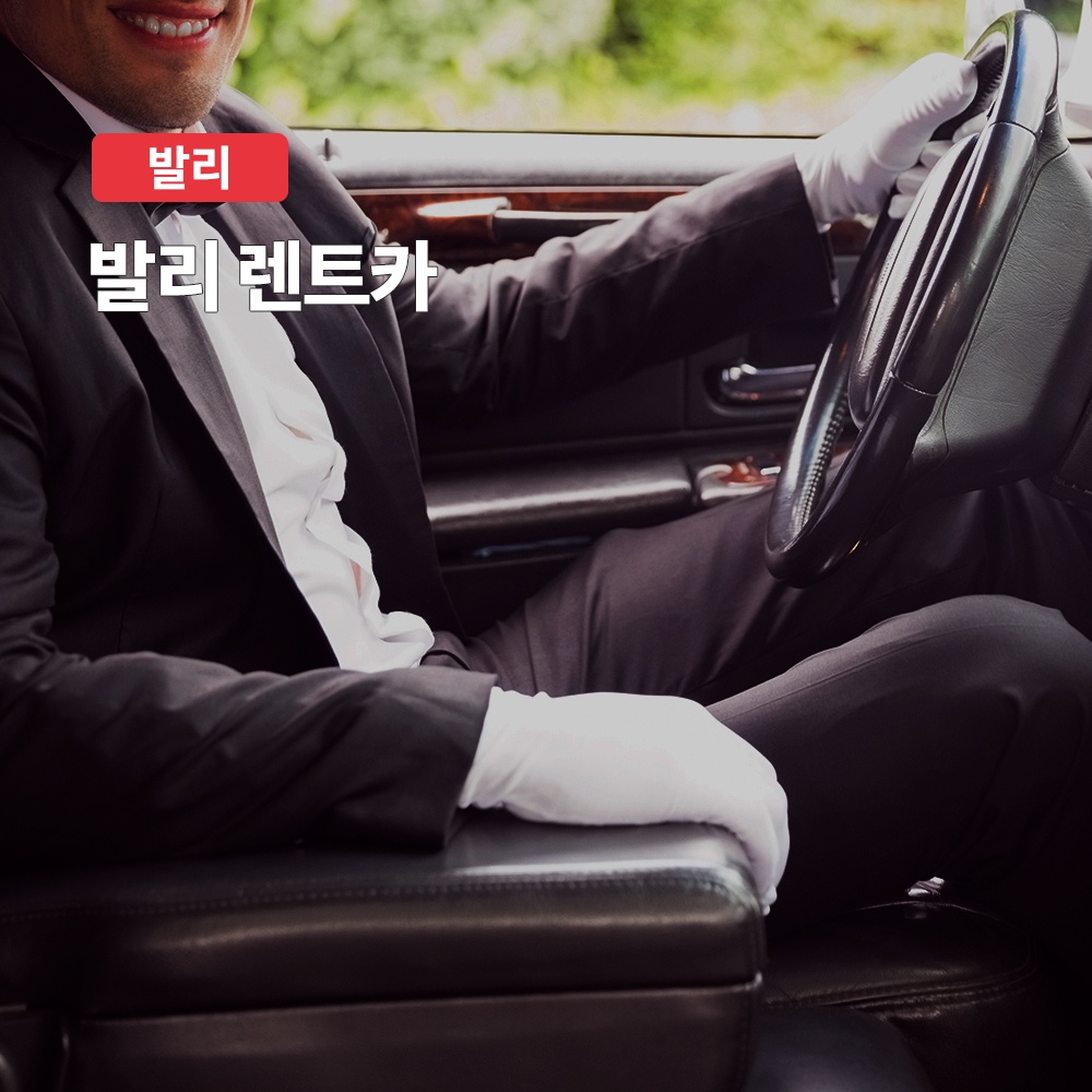 발리 렌트카 자유일정 택시투어 프라이빗 차량, 여행의 필수템