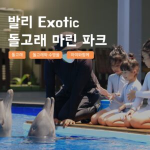 [발리] 발리 이그소틱 마린 파크 돌고래체험 해양 수상 액티비티 후기