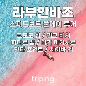 “발리 코모도섬 투어 라부안 바조 스피드 보트 스노쿨링 일일 데이 투어 만타 바다거북” 솔직 사용 후기, 당신의 다음 여행 필수템