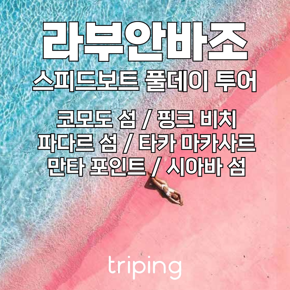 “발리 코모도섬 투어 라부안 바조 스피드 보트 스노쿨링 일일 데이 투어 만타 바다거북” 솔직 사용 후기, 당신의 다음 여행 필수템