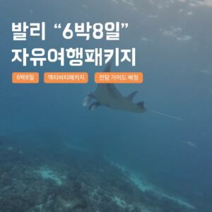 [발리] 발리 6박8일 자유여행 패키지 지프투어 솔직 후기