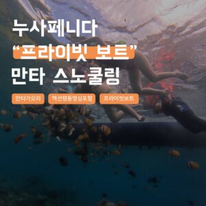 [발리] 누사페니다 프라이빗보트 만타 스노쿨링 해양 액티비티 솔직 후기