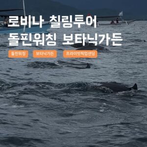 [발리] 로비나 돌핀와칭 칠링투어 브두굴 보타닉가든 돌고래 돌핀워칭 한국어가이드 후기