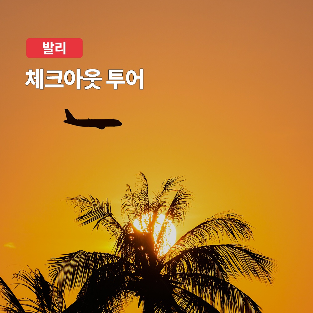 발리 체크아웃 프라이빗 단독 투어, 진짜 나만의 여행 보장