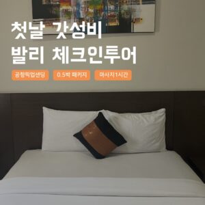 [발리] 발리 갓성비 체크인투어 0.5박 패키지 모닝투어 새벽도착 첫날 공항 픽업샌딩 사용 후기