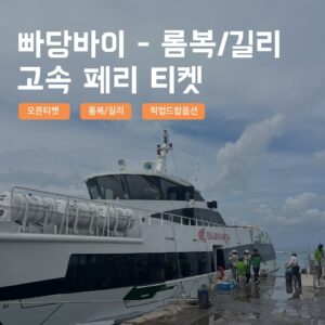 [발리] 즉시확정 길리 롬복 고속 페리 편도 티켓 빠당바이, 필수템으로 추천합니다